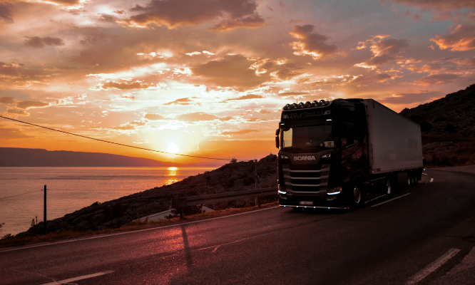 Pigeon Couriers Global Video